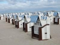 开运体育官方入口-阿尔及利亚队乘风破浪，晋级淘汰赛，阿尔及利亚球员