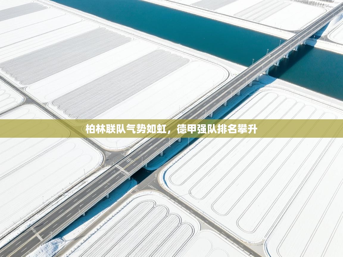 柏林联队气势如虹，德甲强队排名攀升  第2张