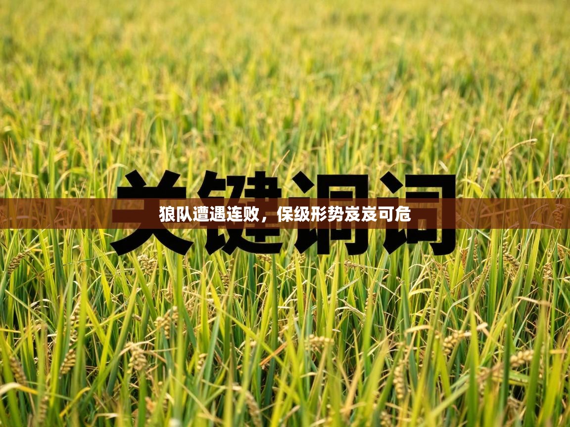 狼队遭遇连败，保级形势岌岌可危  第2张